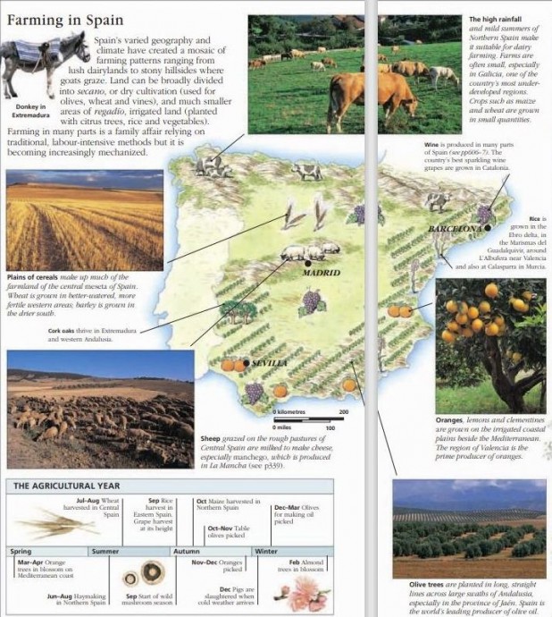 Farming in Spain